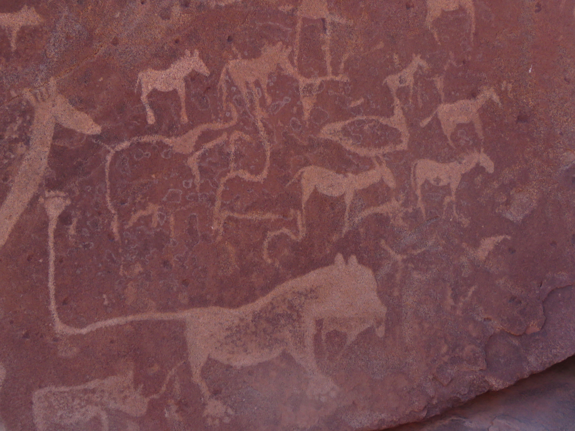 Jour 19: Khorixas – Twyfelfontein - Khorixas 200 km  