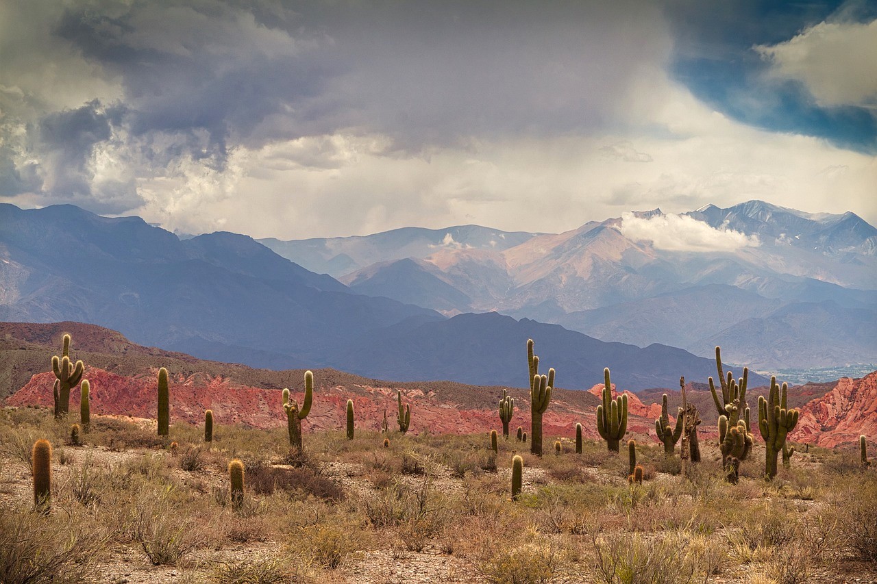 Jour 12 SALTA - CACHI